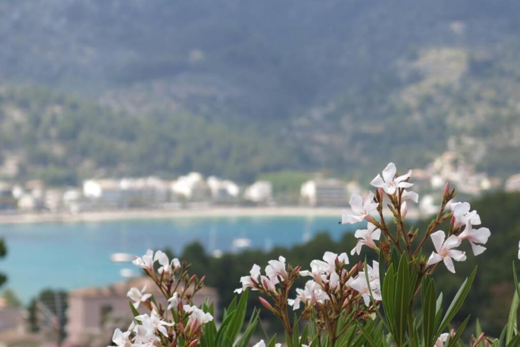 Apartamento En El Puerto De Soller Con Gran Terraza Privada Y Vistas Al Mar. Piscina Comunitaria. Localizado En Un Zona Tranquila Y Muy Soleada. Wifi Gratis Disponible. Parking. Exteriér fotografie